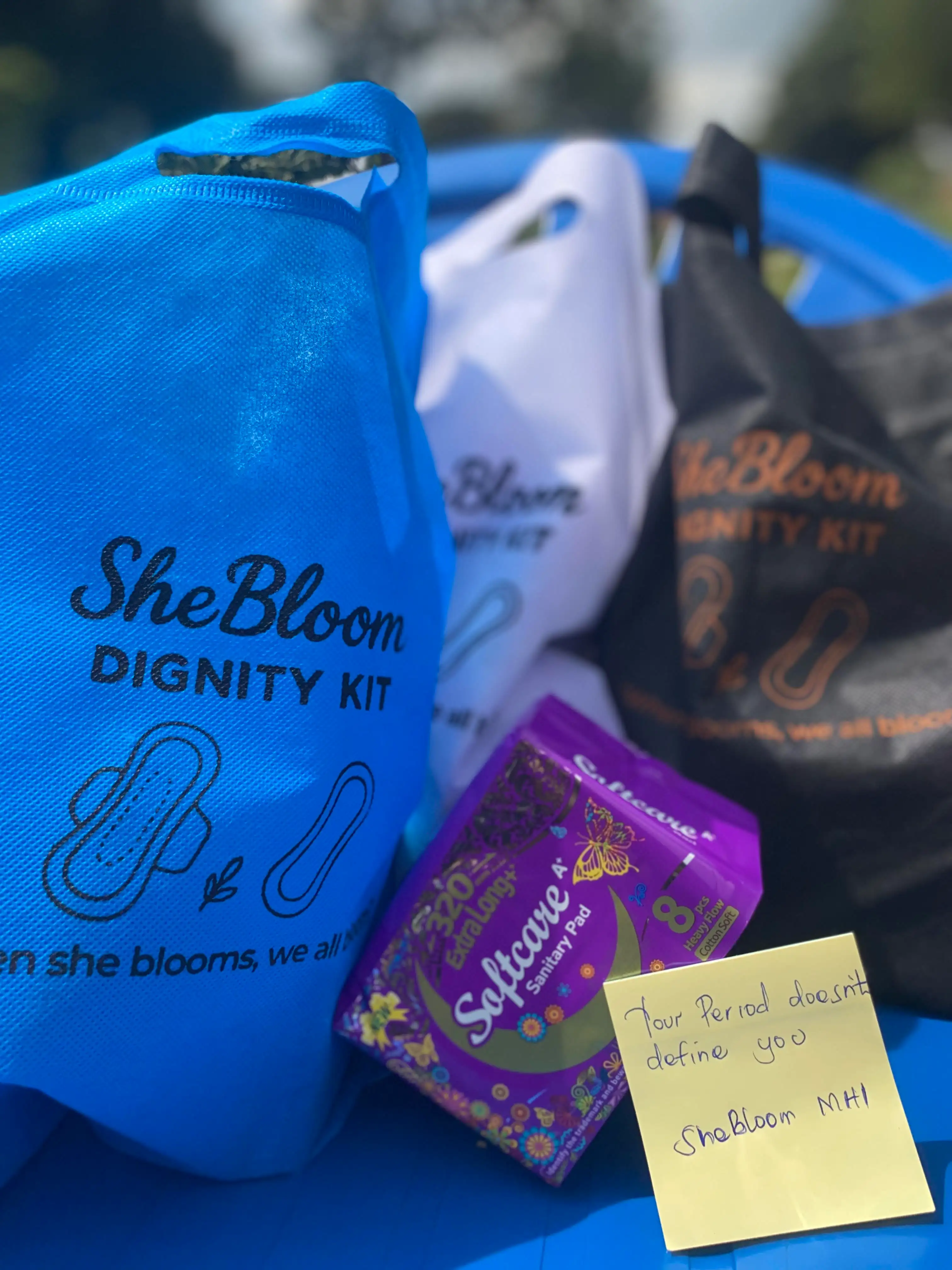 picture of shebloom dignity kits
